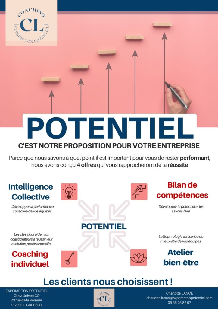 Brochure de services de conseils (2)