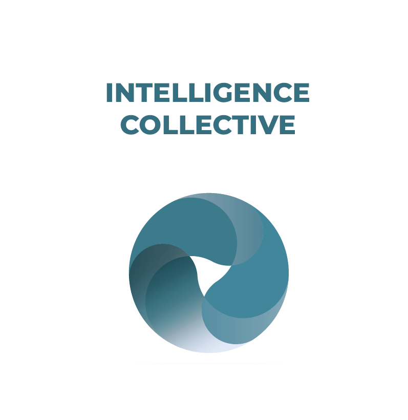 Intelligence collective